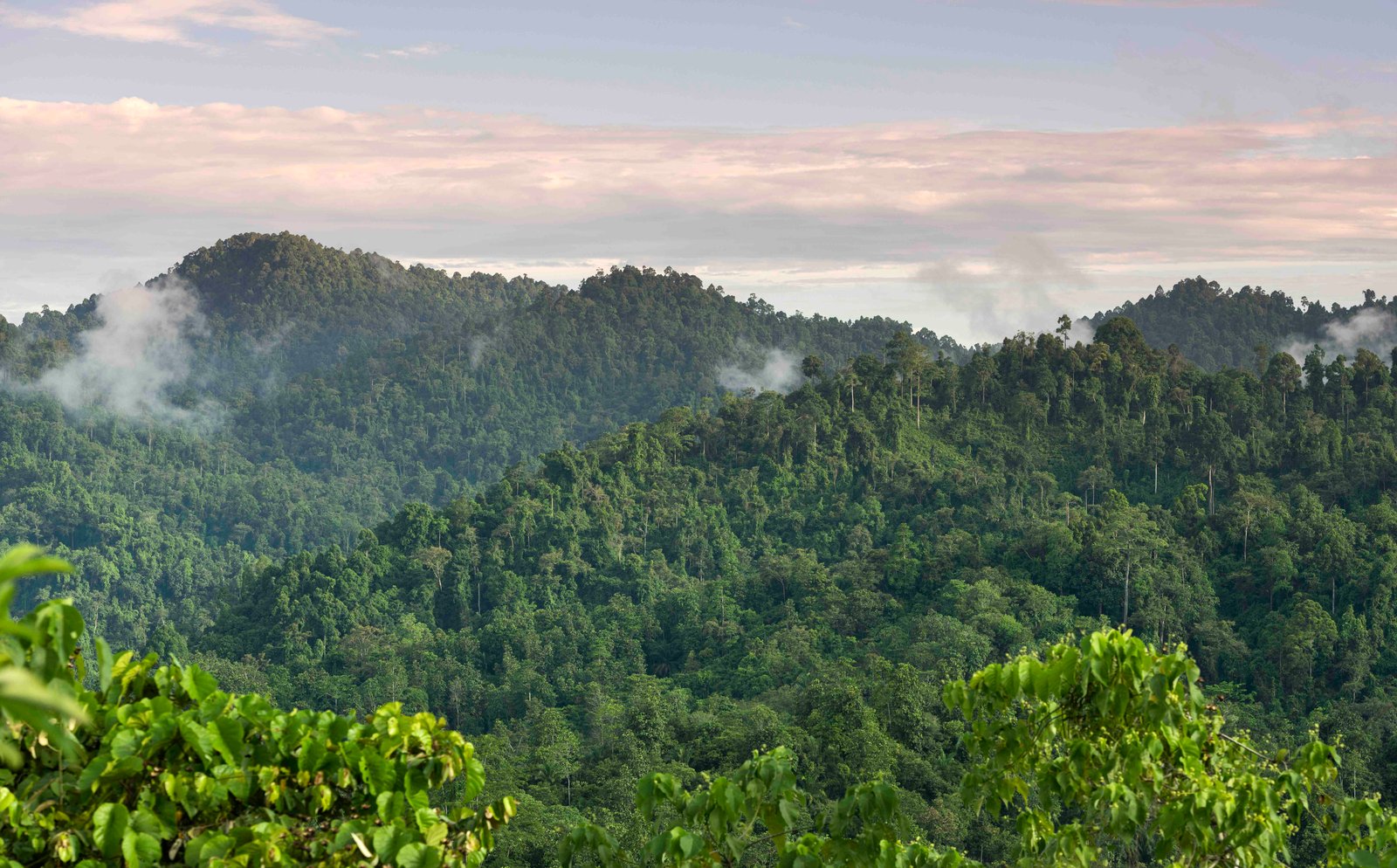 image_care for our community_head