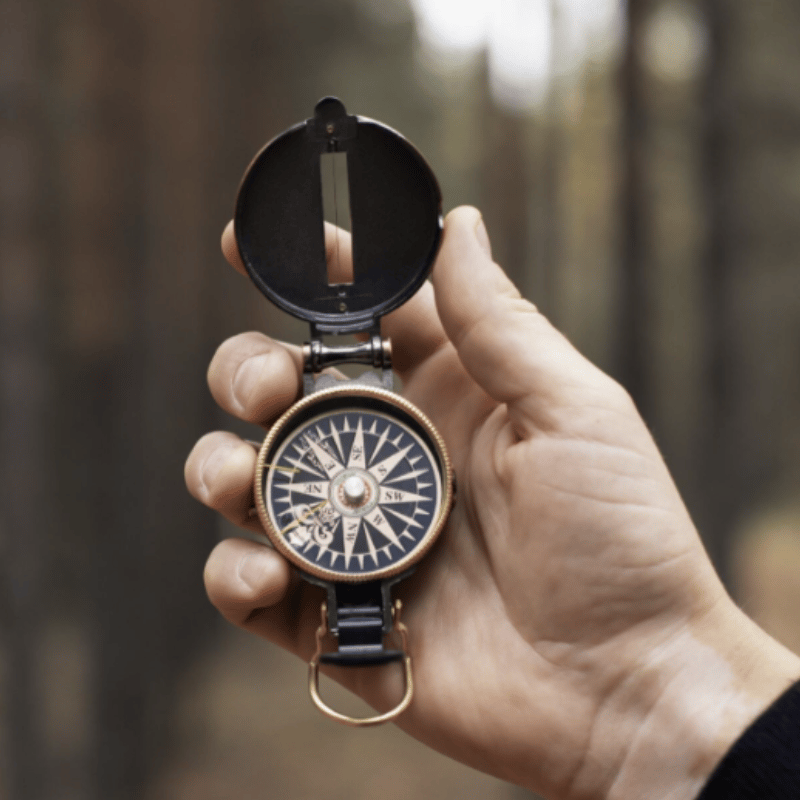 Zurich in My Community