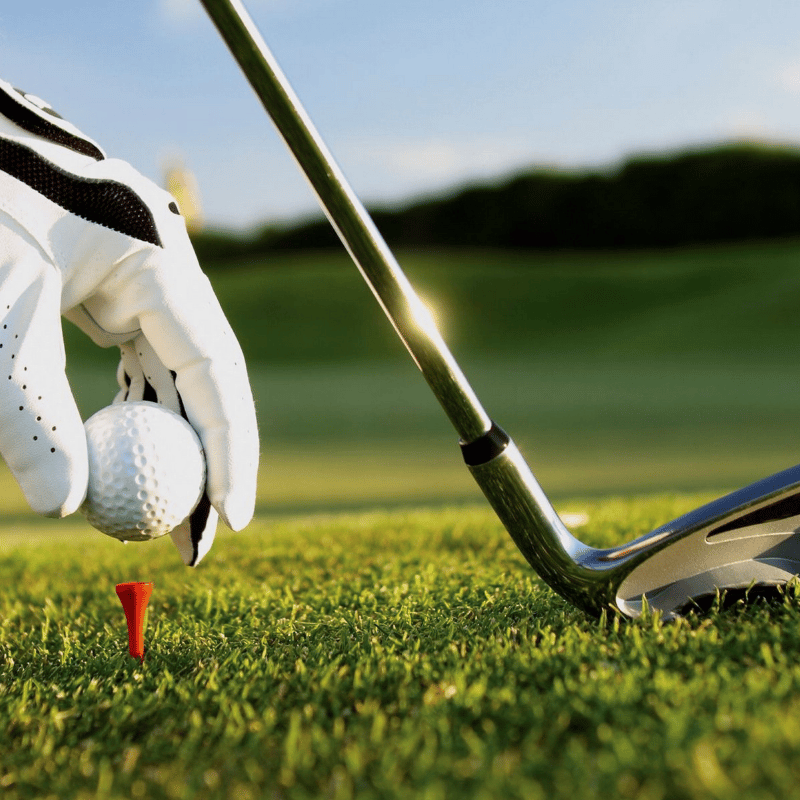 For My Protection - For My Golf