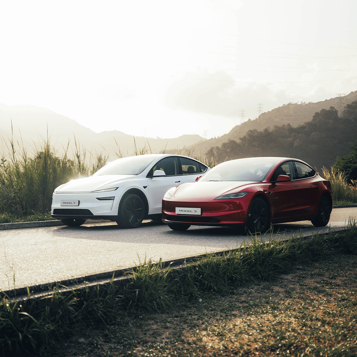 Z TeslaCare Test Drive