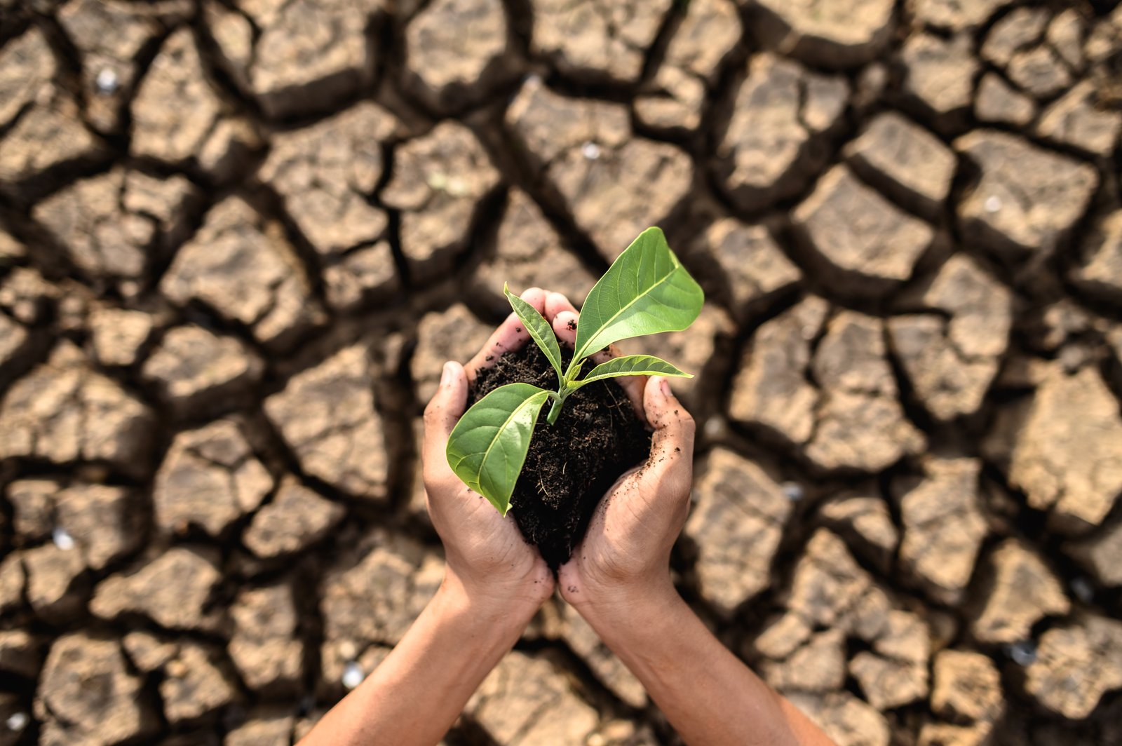 Understanding El Nio Risks in Malaysia