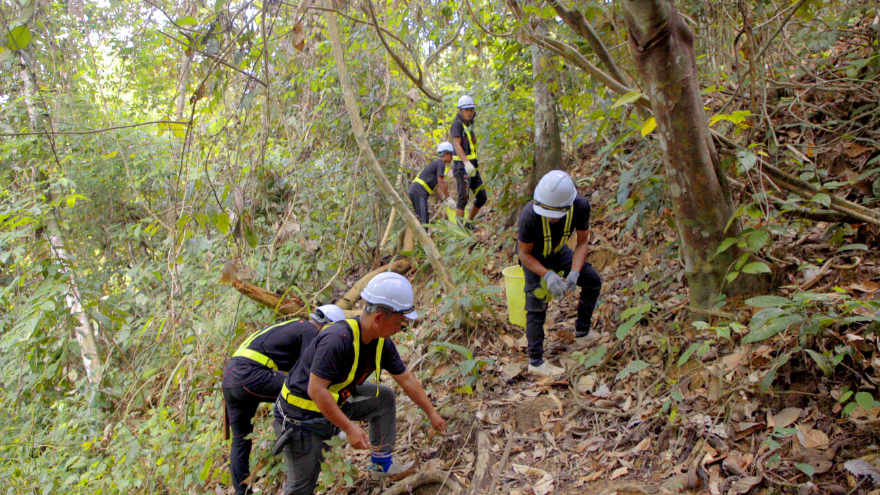 image_article_2022_Zurich Cares_Hope for Endangered Trees_collaborating with TRCRC