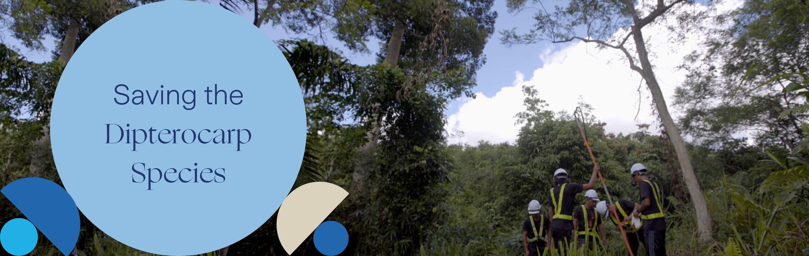 image_stage_slider_Hope for Endangered Tree image_stage_slider_Hope for Endangered Tree
