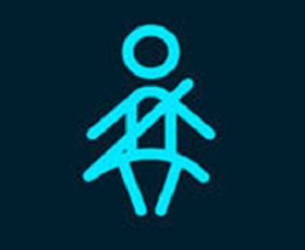 Image_Z Driver Contest_Seatbelt